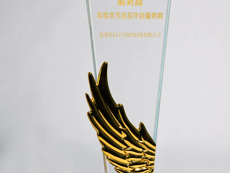 JD.com Outstanding CS Outsourcing Provider 2023